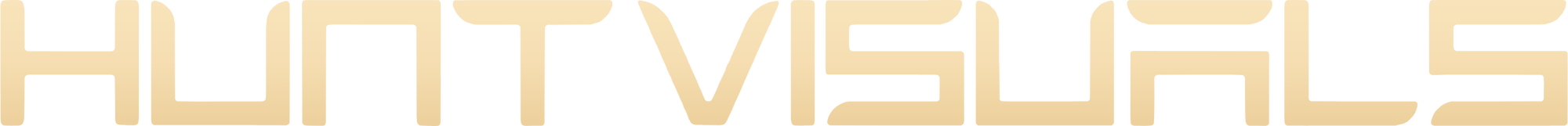Hunt Visuals